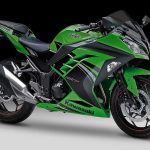 Kawasaki Ninja 300SE (2014)