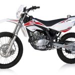 Beta RE125 4T (2008)