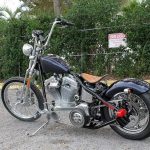 Big Dog Working Man's Special (2010)