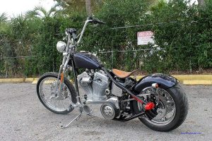 Big Dog Working Man’s Special (2010)