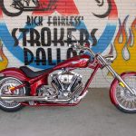 Big dog Mastiff (2008)