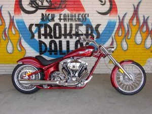 Big dog Mastiff (2008)