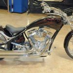 Big dog Pitbull (2005)