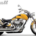 Big dog Pitbull (2010)