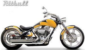 Big dog Pitbull (2010)