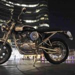 Borile C 300CR (2016)