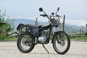 Borile Multiuso 125 (2014)