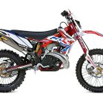 Gas Gas EC 300 (2009)