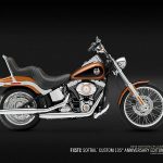 Harley Davidson FXSTC Softail Custom (2008)