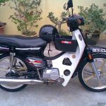Honda C100 EX Super Cub (EX5 Dream) (2000onwards)
