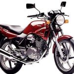 Honda CBX250 TWister (1997-01)