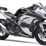 Kawasaki Ninja 300 (2014)