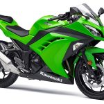 Kawasaki Ninja 300 (2015)