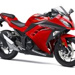 Kawasaki Ninja 300 (2016-17)