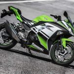 Kawasaki Ninja 300SE (2014)