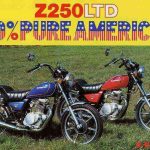 Kawasaki Z250LTD (1983-85)