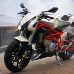 Nelis-Bakker TL1000 (1988)