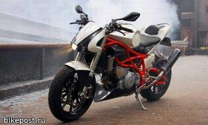 Nelis-Bakker TL1000 (1988)