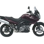 Suzuki DL 1000 V-Strom (2010-11)