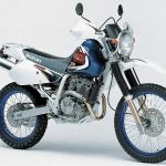Suzuki DR 250 Djebel (1998-00)