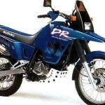 Suzuki DR 800S Big (1995)