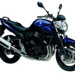Suzuki GSF 650N Bandit (2009-10)