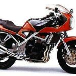 Suzuki GSF400 V Limited (1990-91)