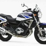 Suzuki GSX250FX (2002-03)