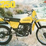 Suzuki PE 250 (1979-80)