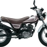 Suzuki RV 125 VanVan (2011-13)