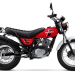 Suzuki RV 200 VanVan (2019)