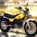 Suzuki RV125 VanVan (2003-06)