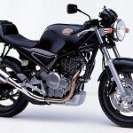 Suzuki SG 250N Goose (1991)