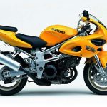 Suzuki TL 1000S (2001-02)