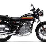 Suzuki TU 250X (2019)