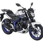 Yamaha MT 25 (2015-16)