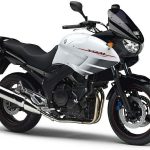 Yamaha TDM 900 abs (2008-09)