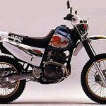 Yamaha TT-R 250 Raid (1994-95)