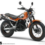 Yamaha TW 200 (2007)