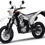 Yamaha WR 250 X (2010-11)