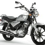 Yamaha YBR 125 Custom (2007)