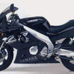 Yamaha YZF 600 R Thunder cat (1998)