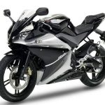 Yamaha YZF-R 125 (2009)