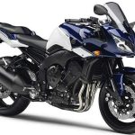 Yamaha FZ1 (2010)