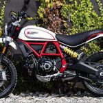 Ducati Scrambler 800 Café Racer (2019)