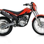 Beta Alp 200 4T (2008)