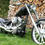 Big Bear Bear Bones (2015)