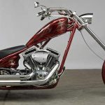 Big dog Ridgeback (2008)