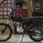 Borile Multiuso 230 (2014)