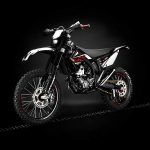 Gas Gas EC 250 (2010)